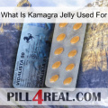 What Is Kamagra Jelly Used For 44